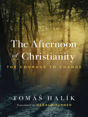 cover image of The Afternoon of Christianity
